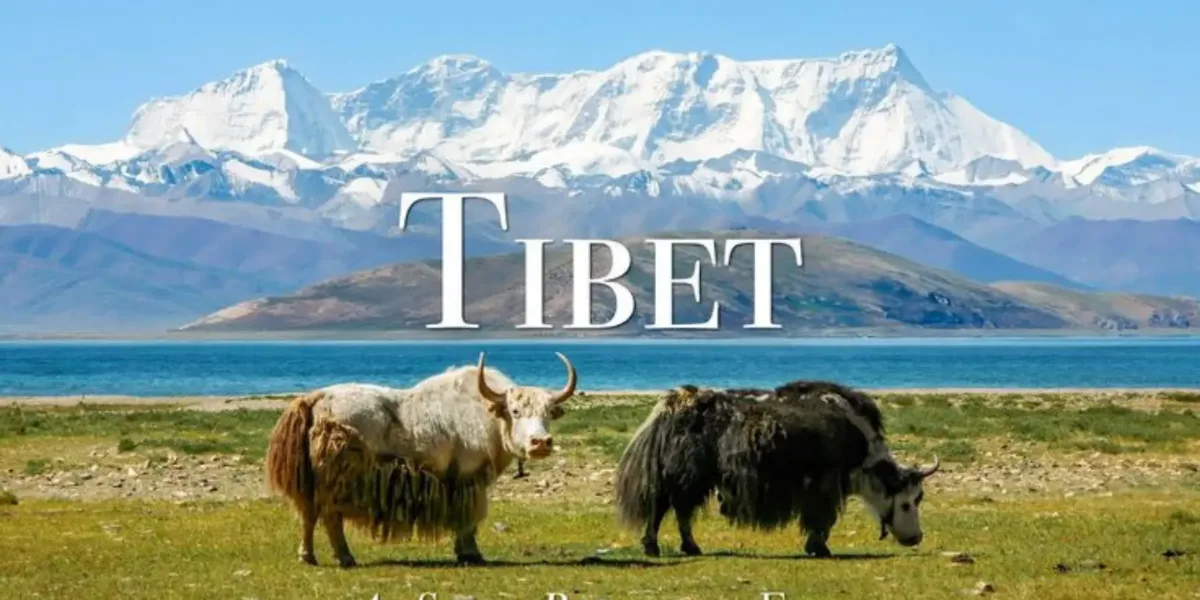 Tibet