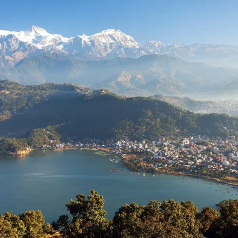 Pokhara-Neal