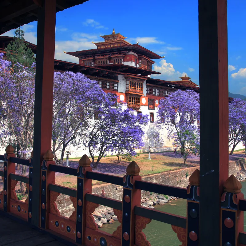 Palace of bhutan