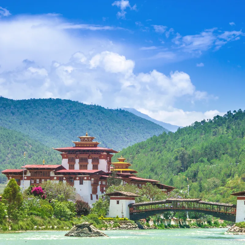 Paro