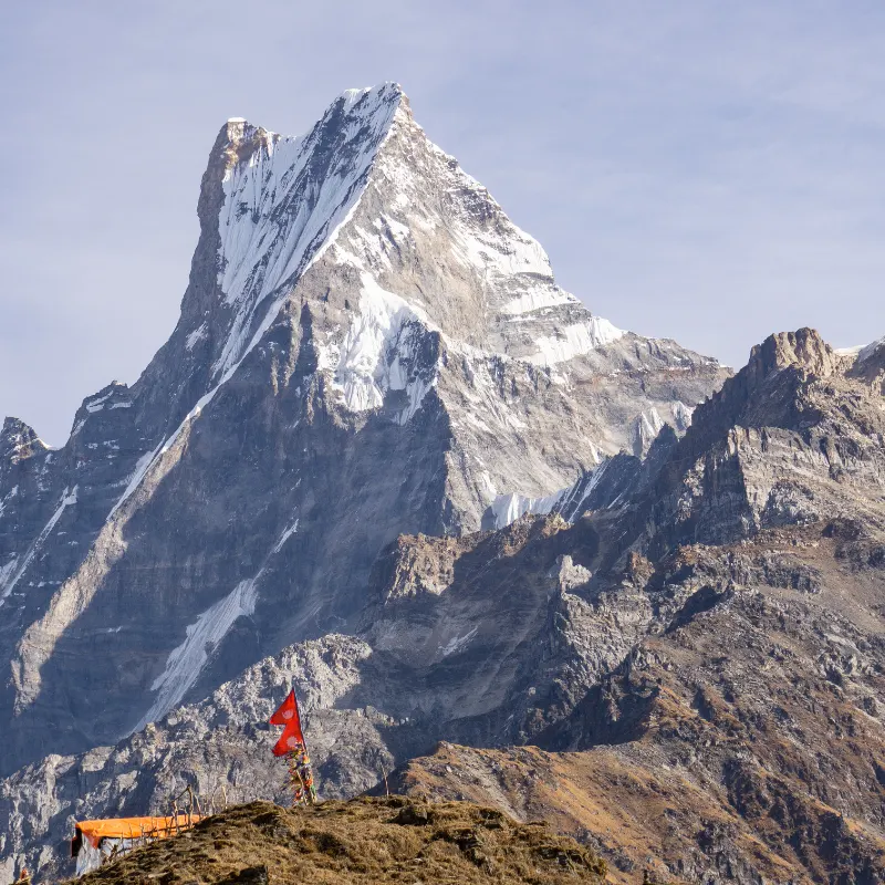 Close-up panoramic view of the steep, dramatic rocky and snowy Machhapuchhre mountain peak with several red Buddhist prayer flags flying from a hill in the foreground, Nepal.