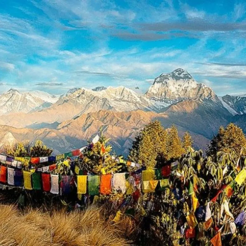 Panoramic view of the Annapurna mountain range and Dhaulagiri framed by colorful Tibetan prayer flags and hillside vegetation.