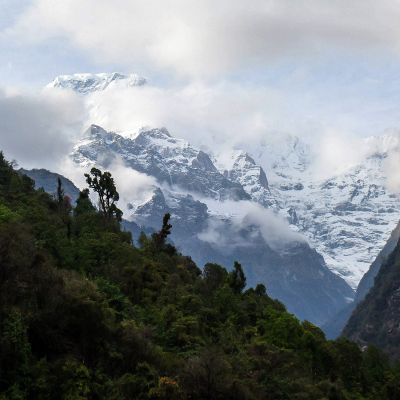 High-altitude view of a dramatic, steep snow-covered mountain peak piercing a layer of clouds in the Annapurna range Nepal.
