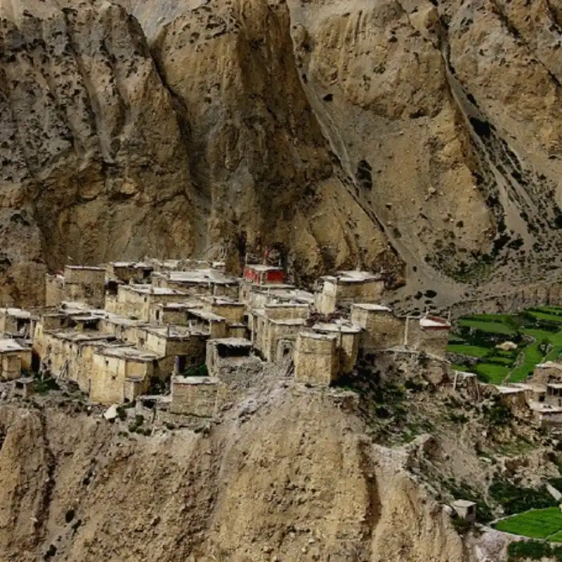 Ancient cluster of flat-roofed traditional mud and stone houses built directly into a massive arid cliff face, bordered by bright green agricultural fields.