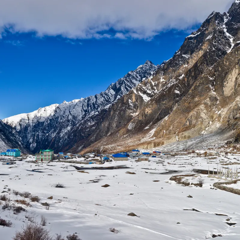 Langtang trail