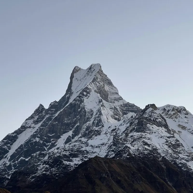  Close-up view of the sharp, snow-covered pyramid peak of Mount Machhapuchhare in Nepal under a clear sky.