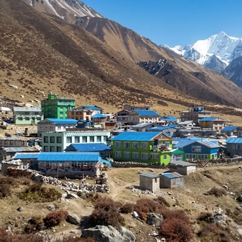 Overview of Kyanjin Gompa village in the Langtang Valley featuring colorful teahouse lodges surrounded by dry alpine slopes and snow-capped peaks.