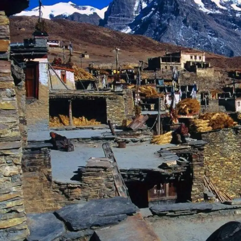 Traditional Himalayan stone village with flat rooftops storing golden hay, nestled beneath a towering snow-capped mountain peak.