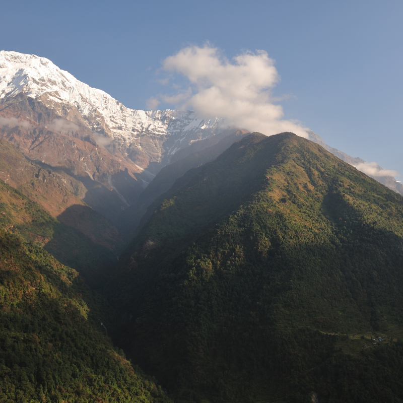Gaint Mountian view is  looking you from chomrong
