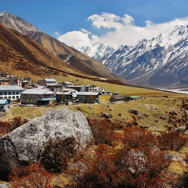 Langtang Valley Trekking-11 Days