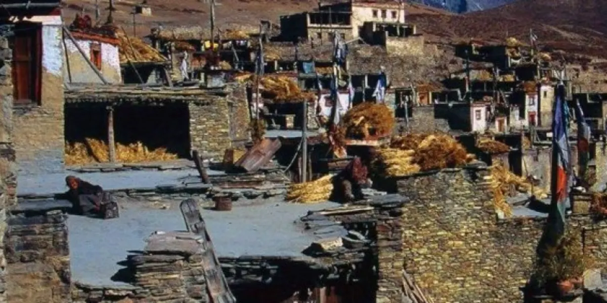 Sunlit traditional stone houses with flat rooftops holding golden hay, showcasing typical rural architecture in a high-altitude Himalayan village.