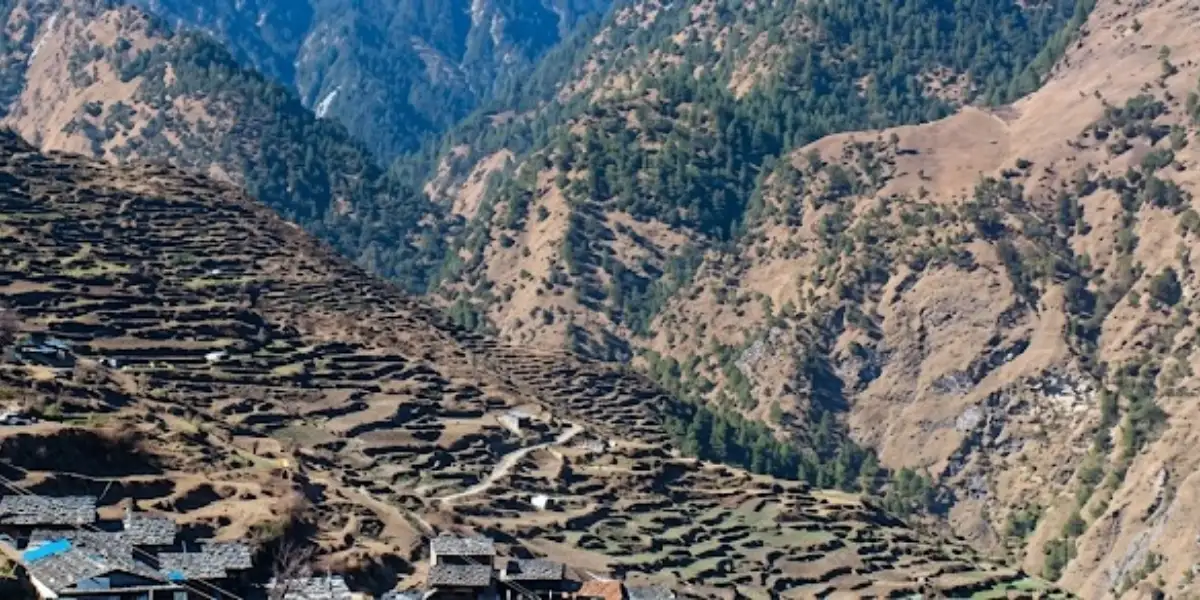 Extensive carved agricultural terraces and rural stone houses set across steep, forested Himalayan mountain foothills.