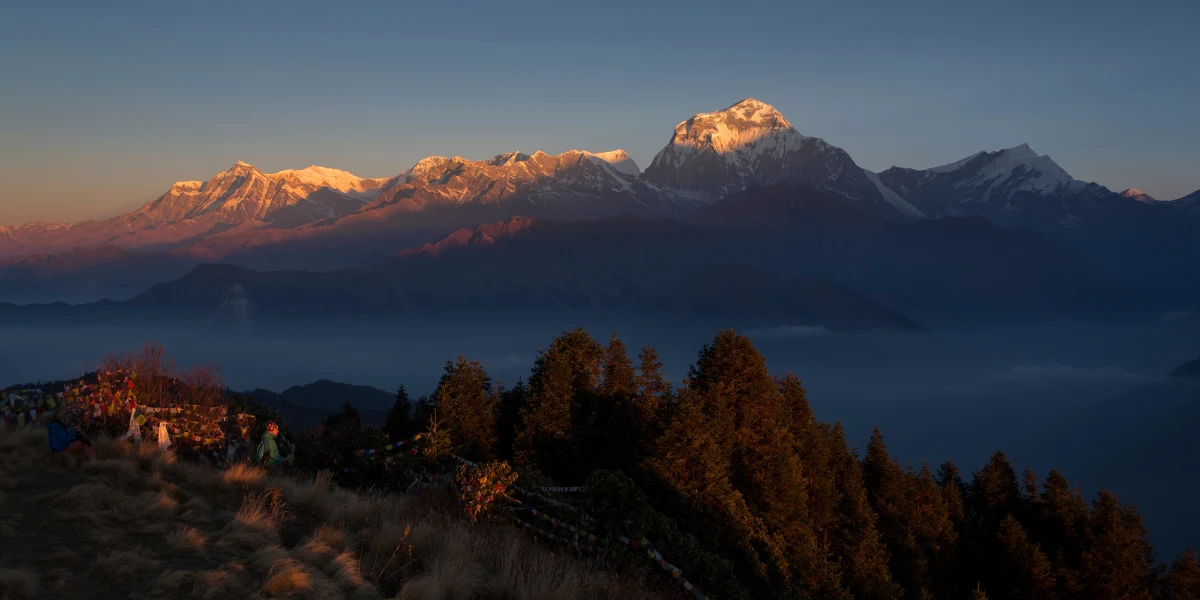 Golden alpenglow lighting up Dhaulagiri and Annapurna mountain range at sunrise seen from Poon Hill viewpoint Nepal.